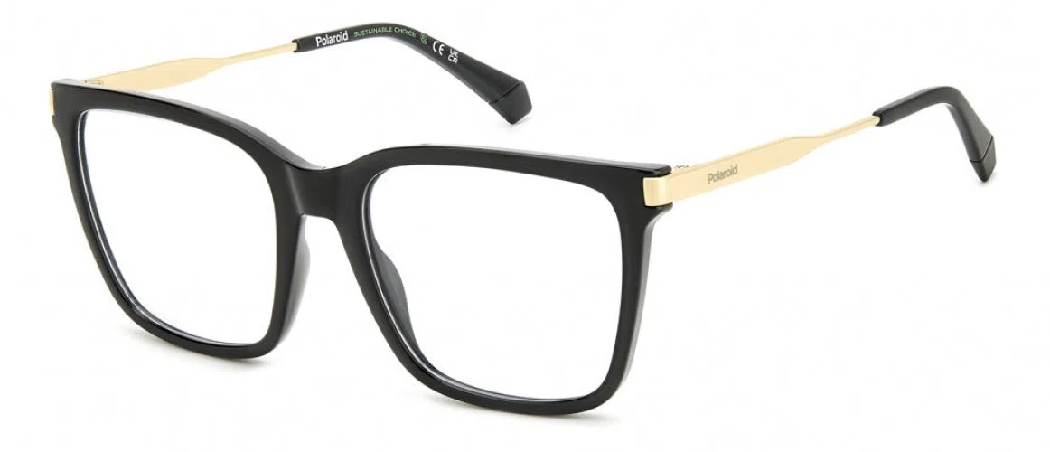 Polaroid Core PLDD528 Eyeglasses - view 2